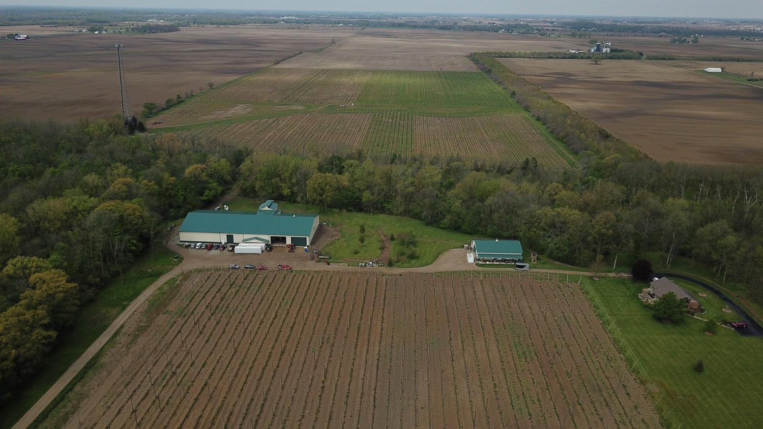 The farm grounds and buildings.