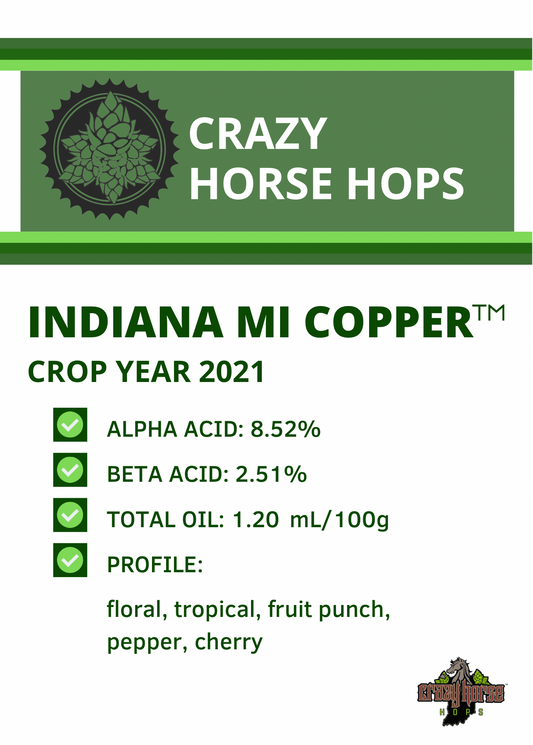 Indiana Michigan Copper™